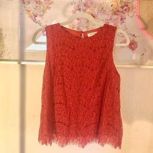 Sienna Chantilly lace top
